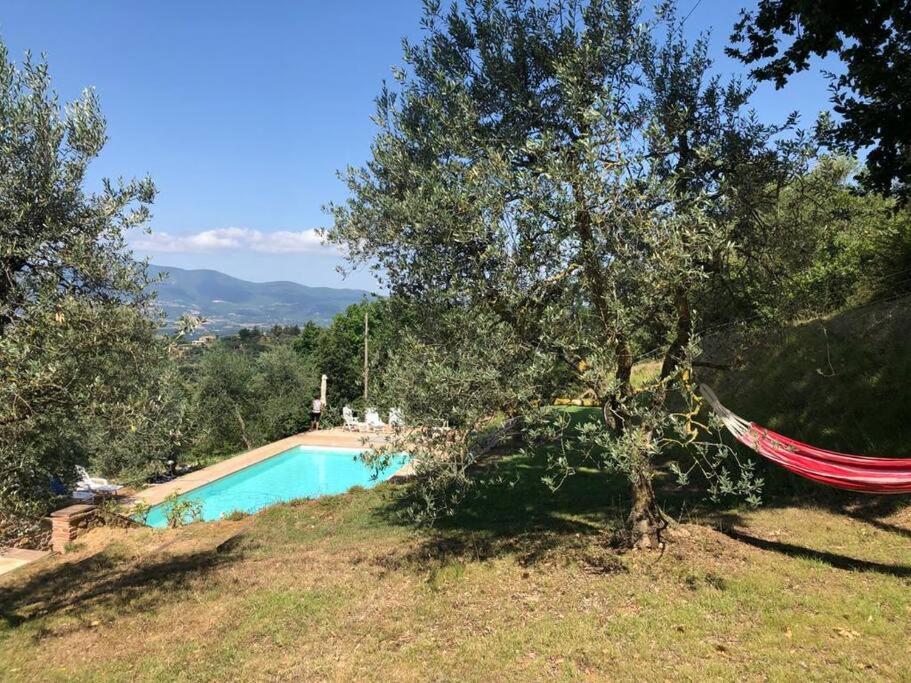 Vesper - Casale Con Piscina - Ad Galli Cantum Città della Pieve Exterior photo